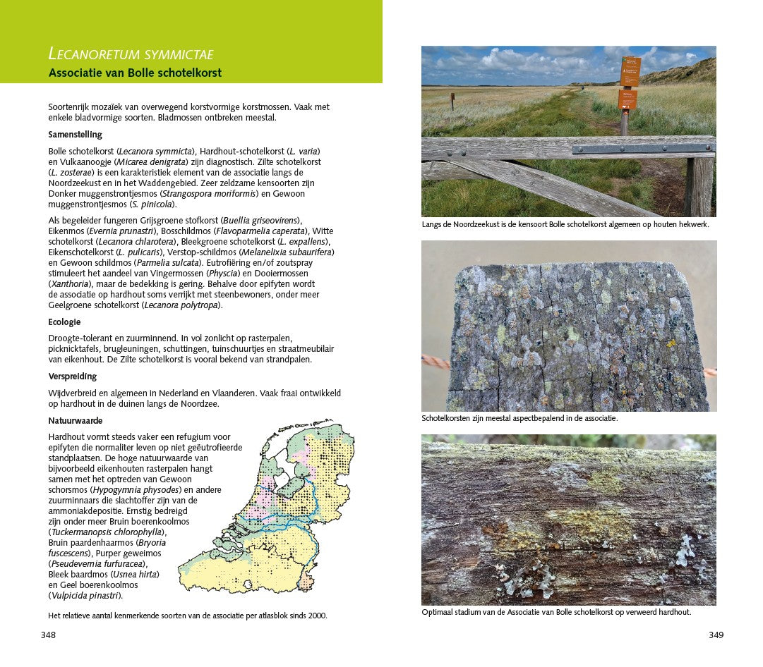 Veldgids Mossen en korstmossen op dood hout