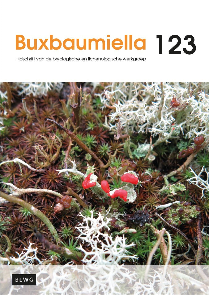 Buxbaumiella (los nummer)