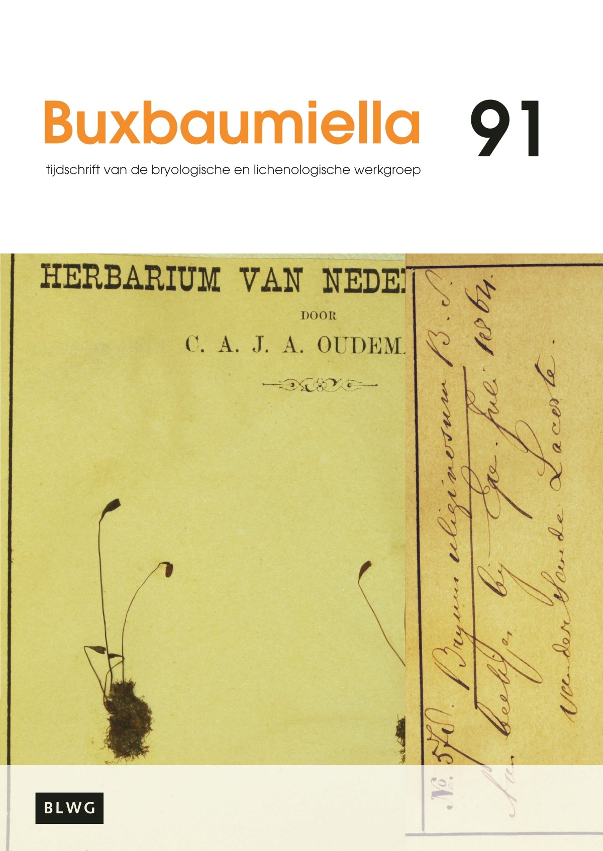 Buxbaumiella (los nummer)