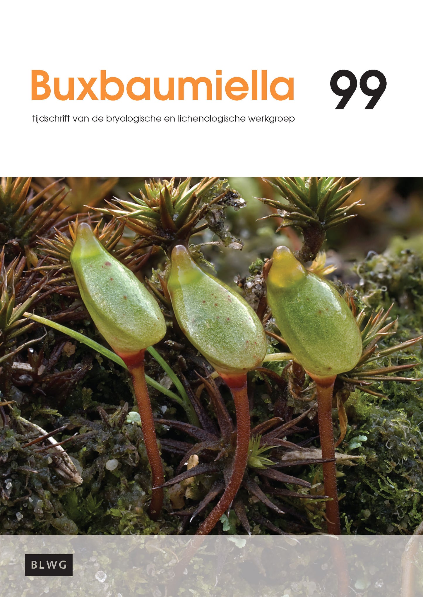 Buxbaumiella (los nummer)