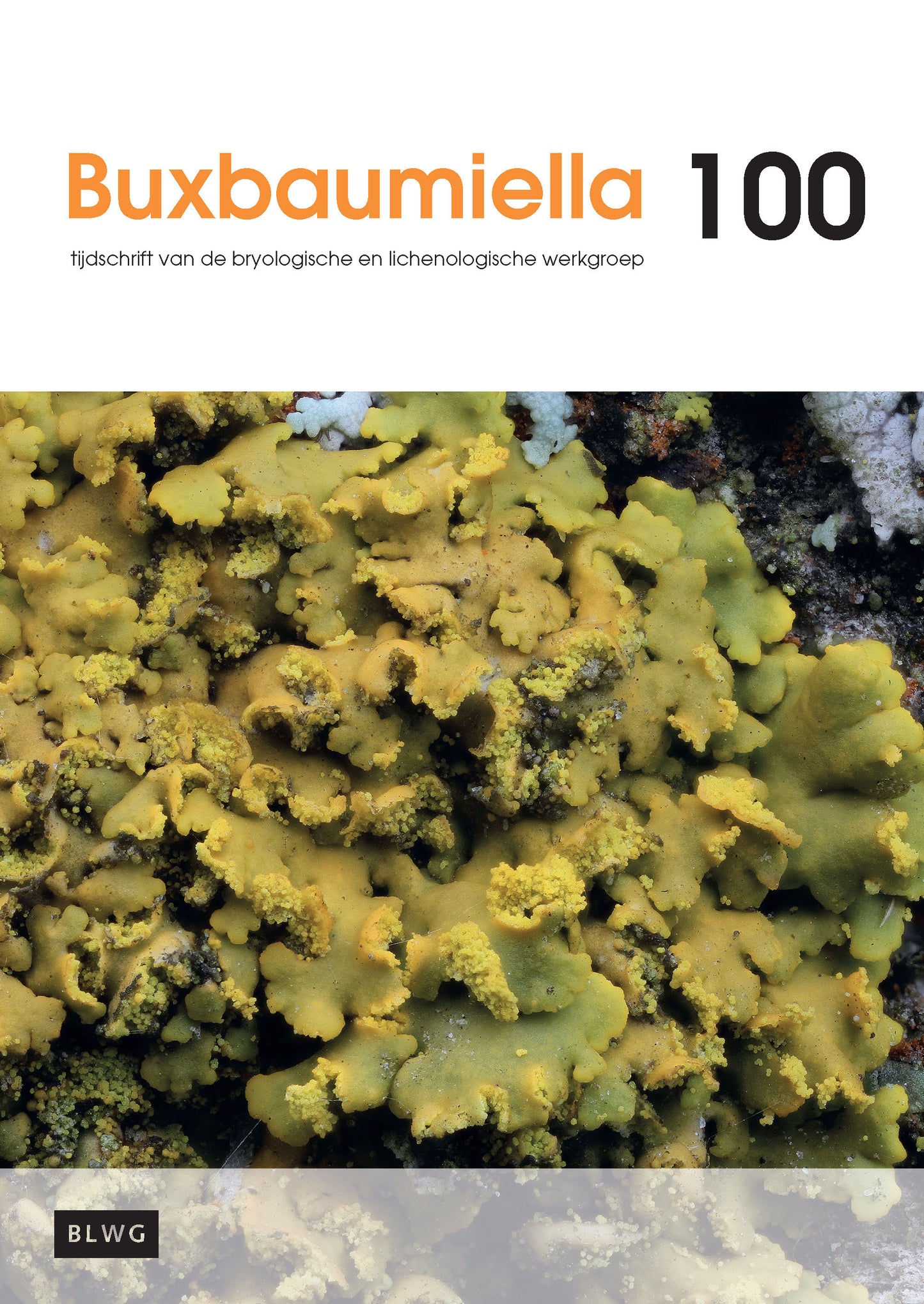 Buxbaumiella (los nummer)