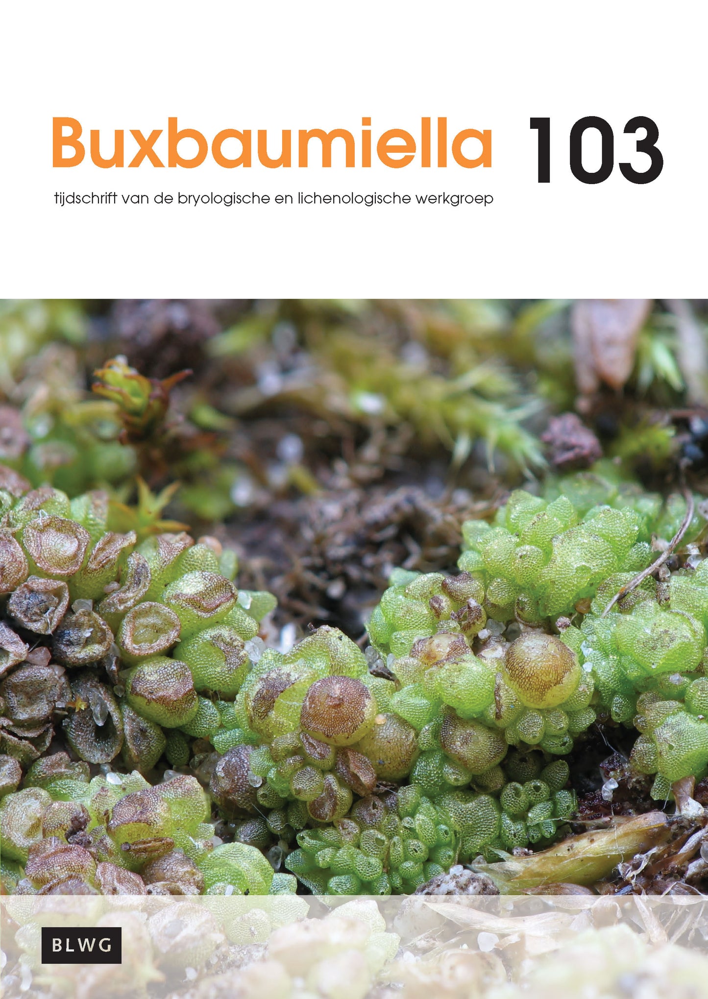 Buxbaumiella (los nummer)