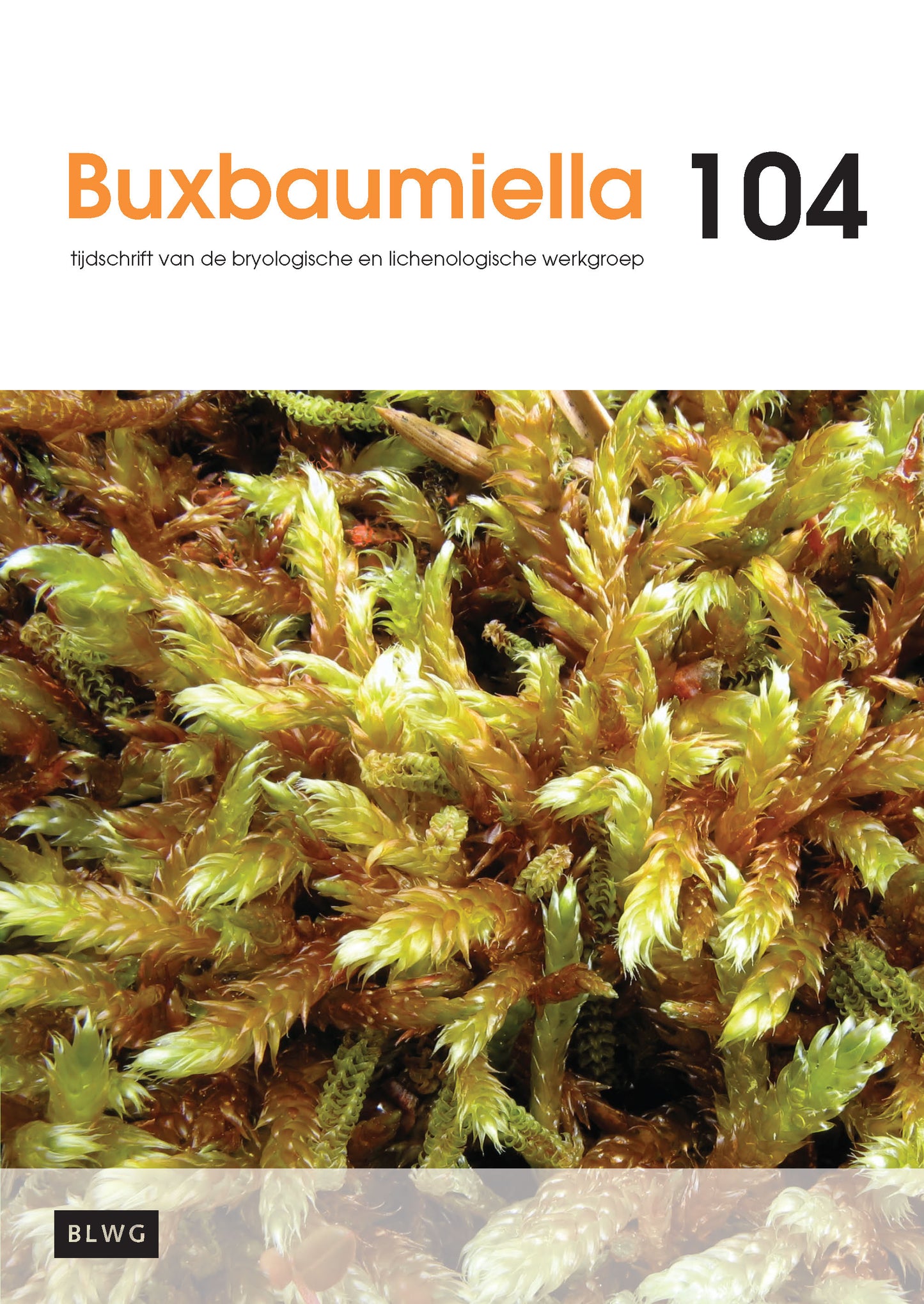 Buxbaumiella (los nummer)