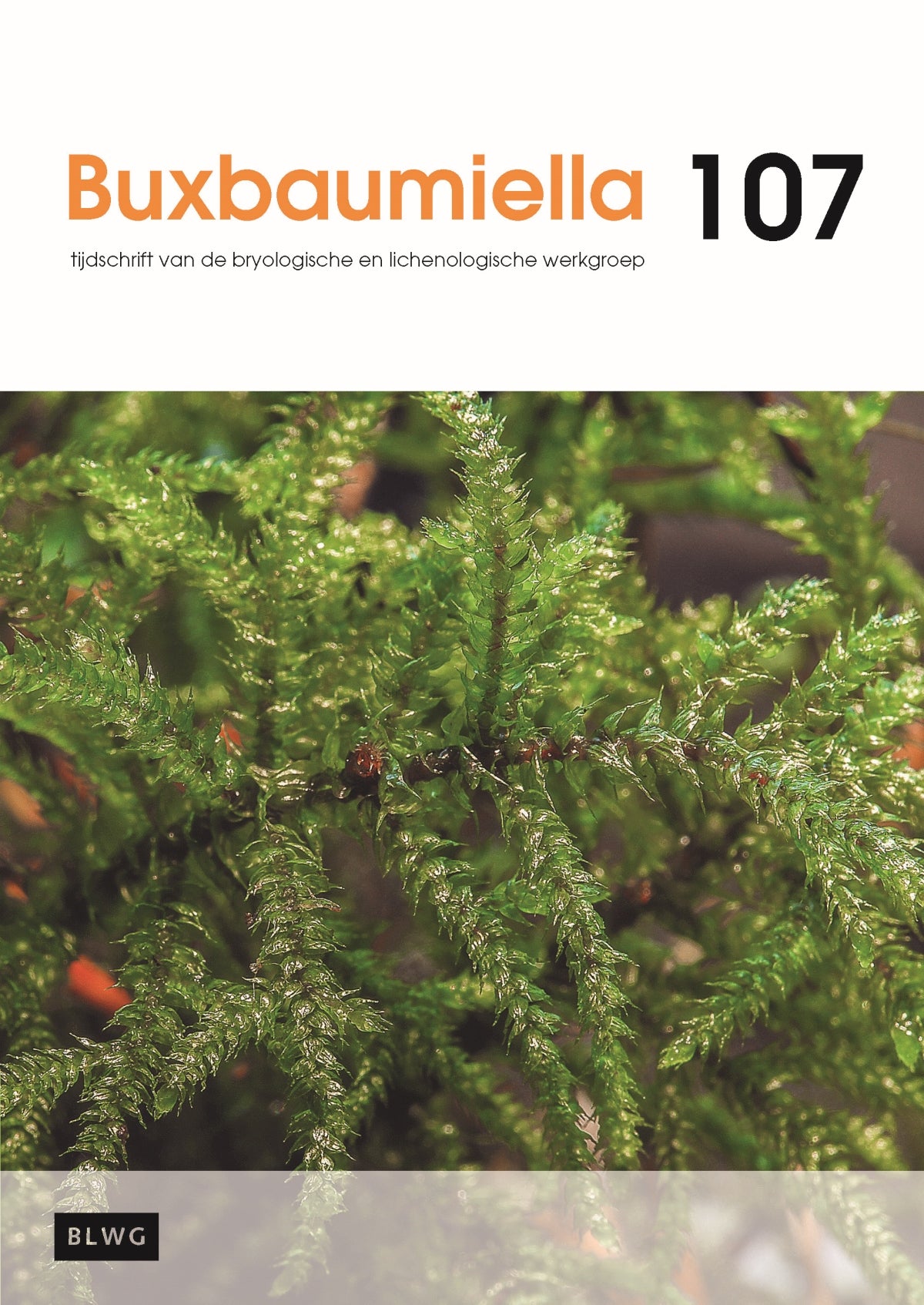 Buxbaumiella (los nummer)
