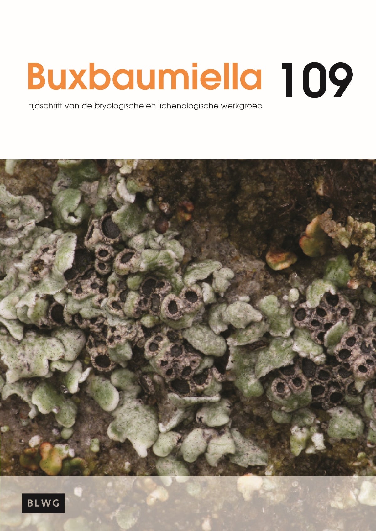 Buxbaumiella (los nummer)
