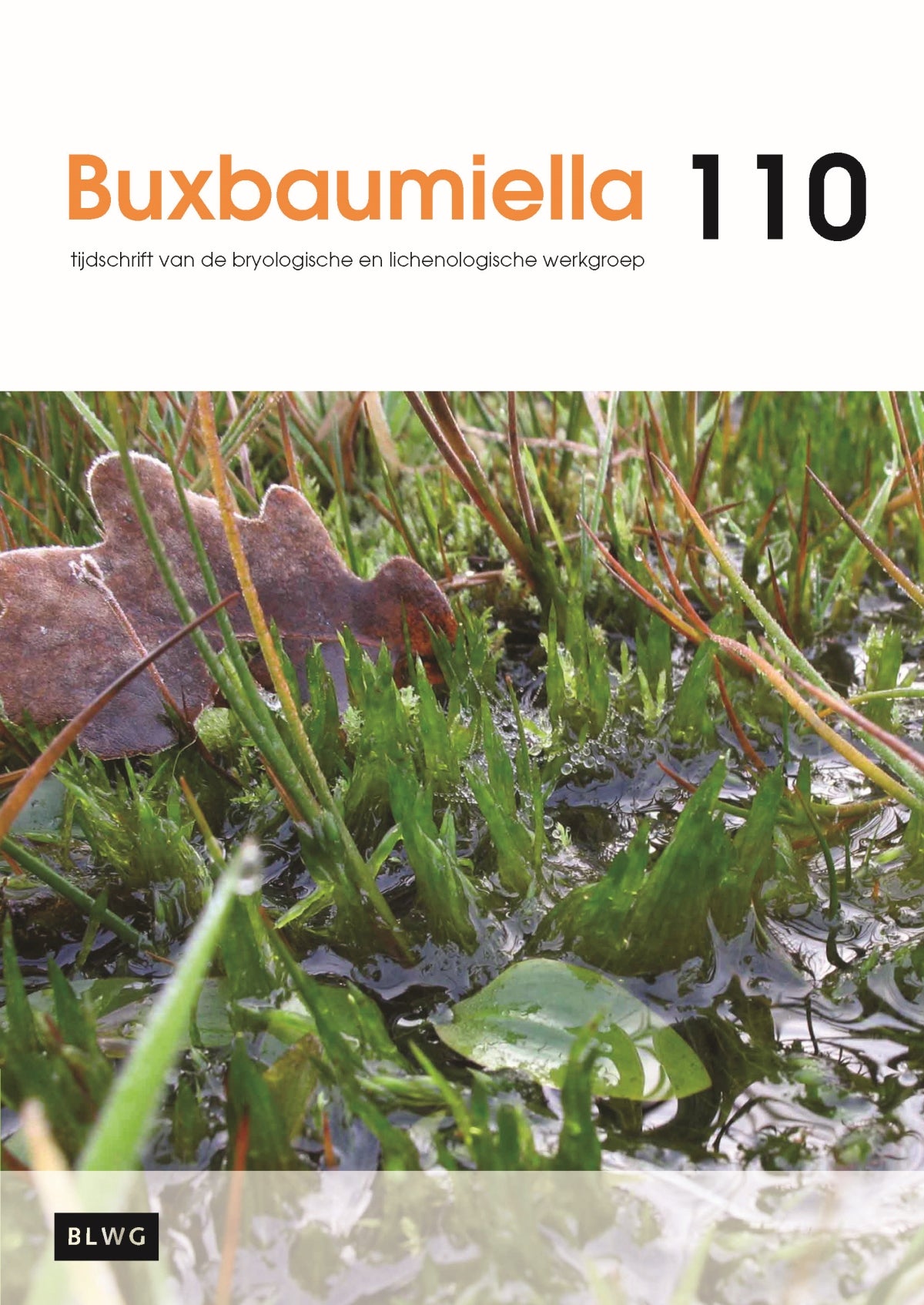 Buxbaumiella (los nummer)