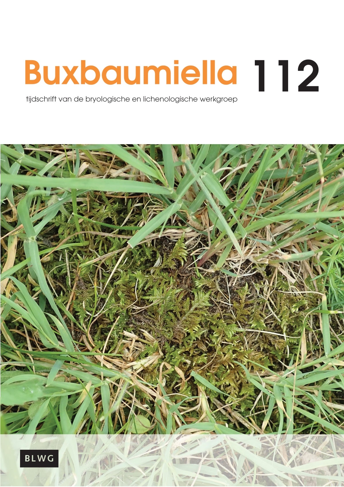 Buxbaumiella (los nummer)