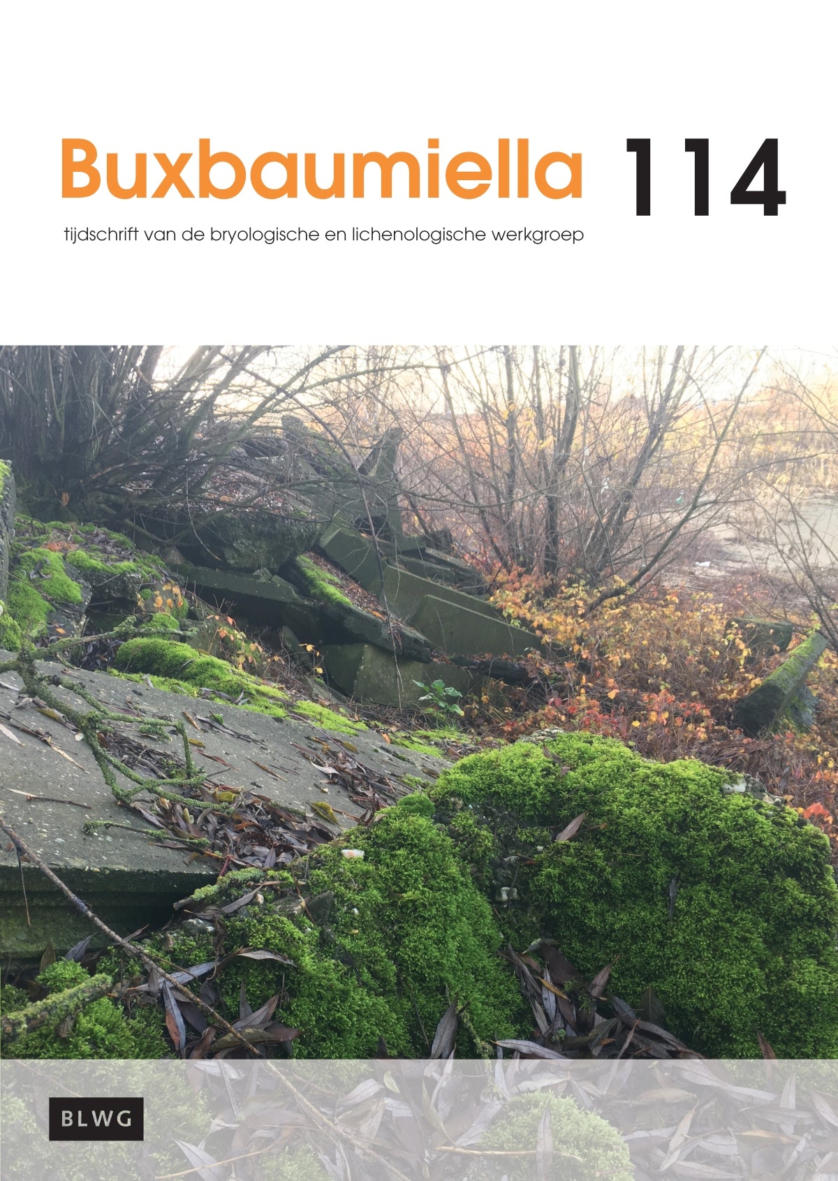 Buxbaumiella (los nummer)