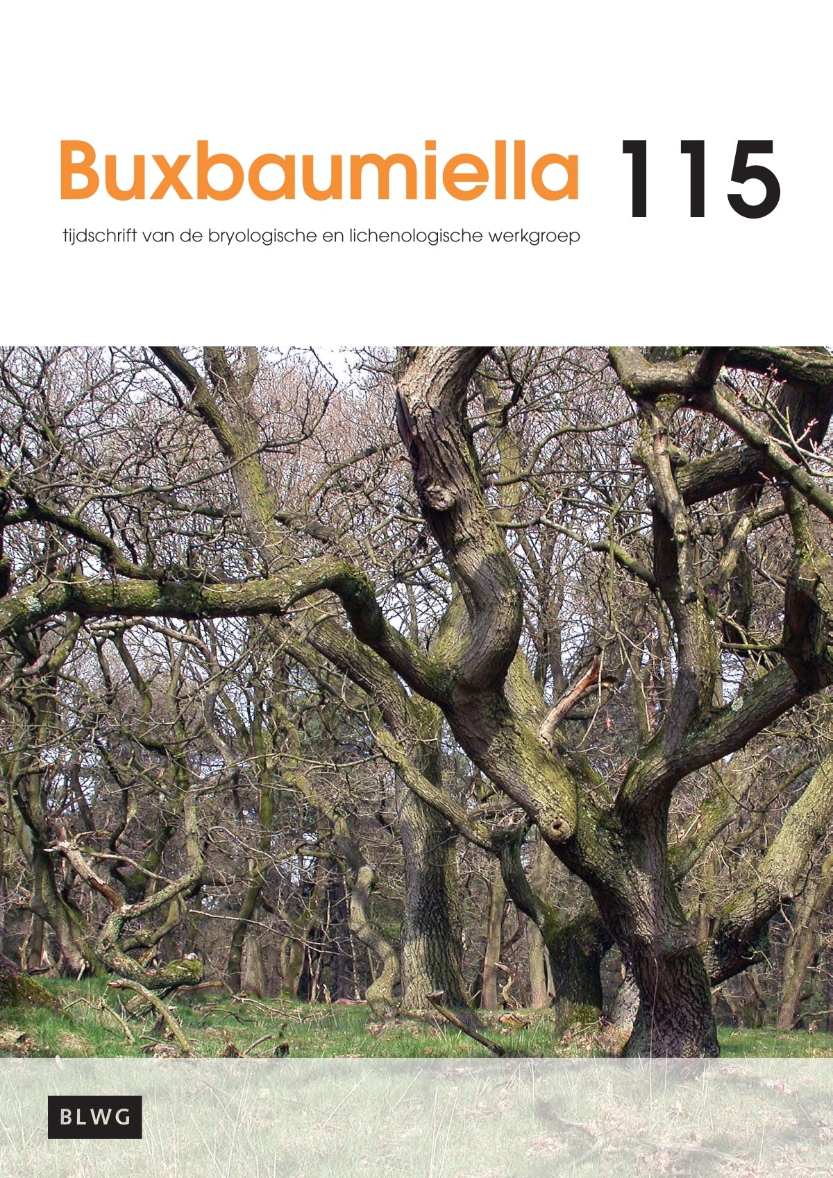 Buxbaumiella (los nummer)