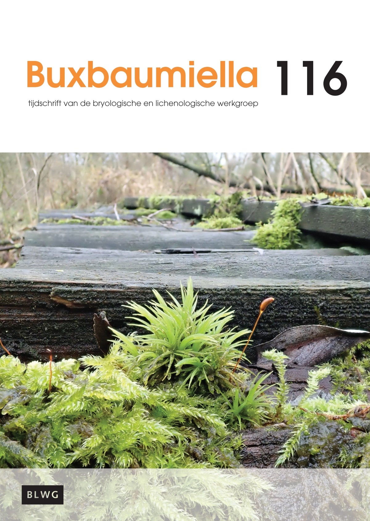 Buxbaumiella (los nummer)