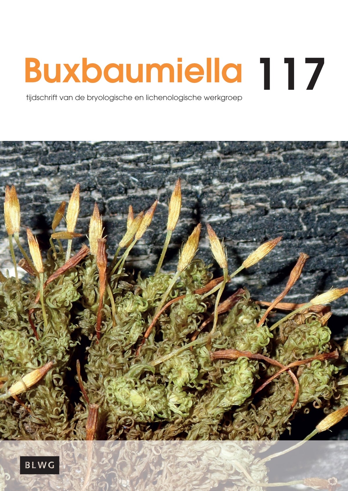 Buxbaumiella (los nummer)