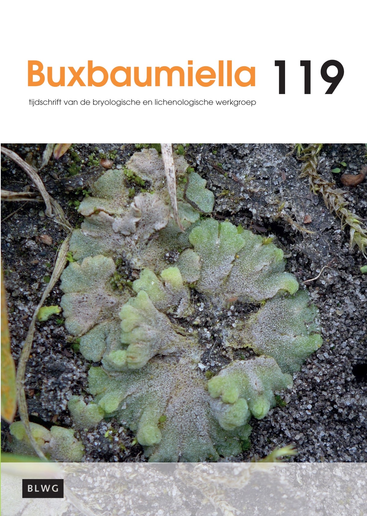 Buxbaumiella (los nummer)