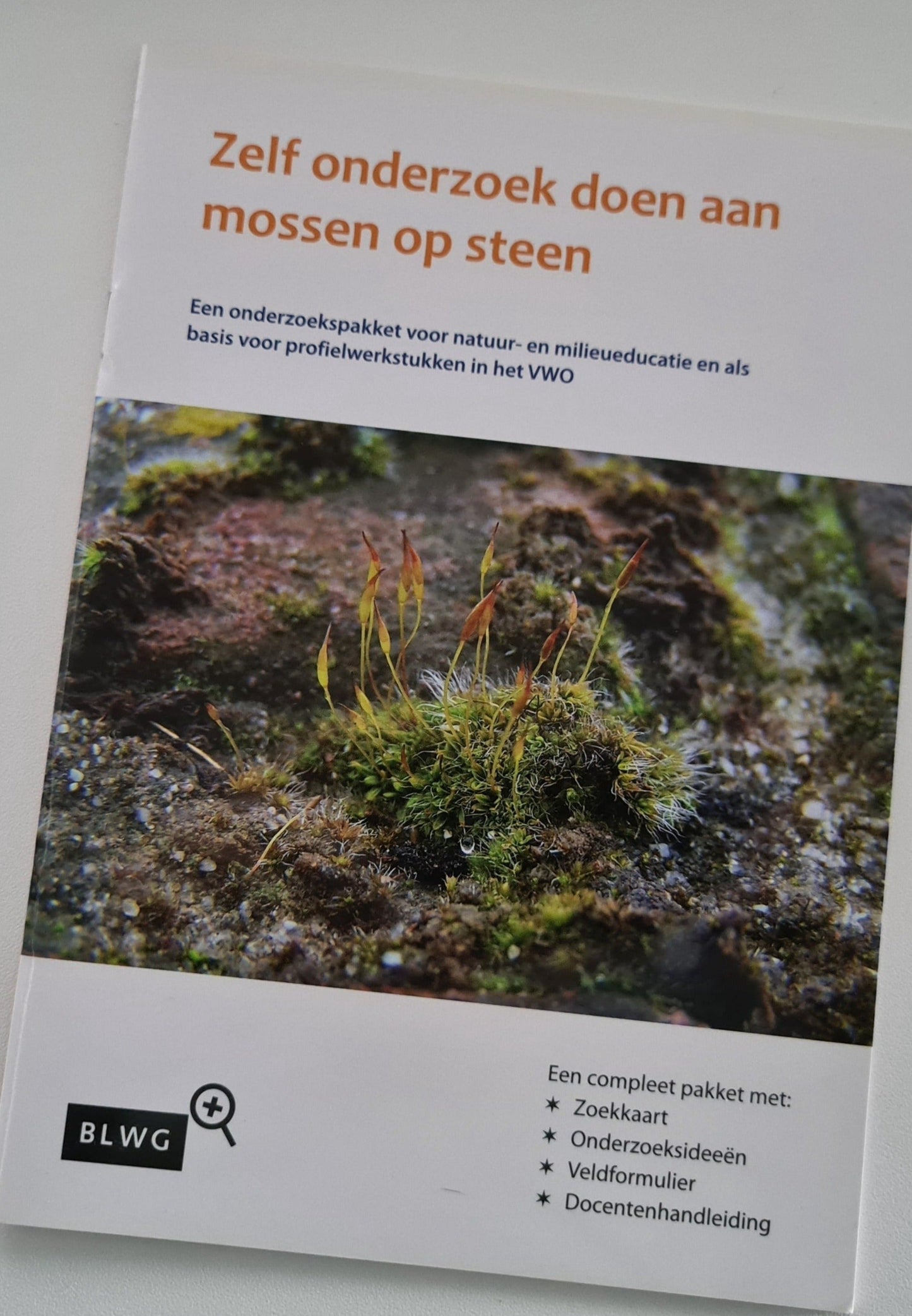 Zelf onderzoek doen aan mossen op steen