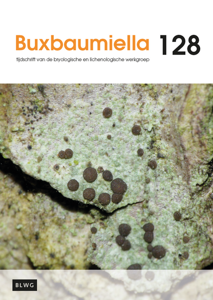 Buxbaumiella (los nummer)
