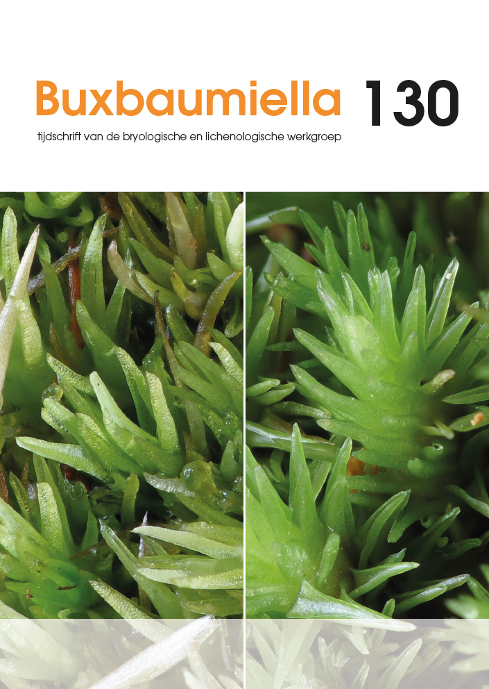 Buxbaumiella (los nummer)