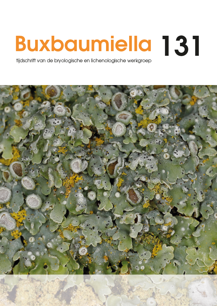 Buxbaumiella (los nummer)