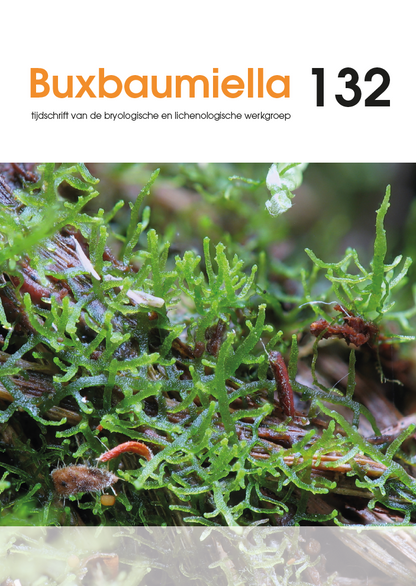 Buxbaumiella (los nummer)