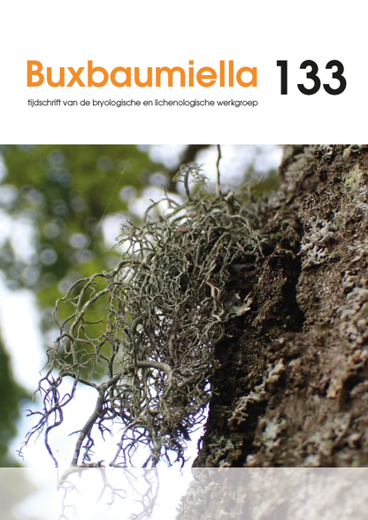 Buxbaumiella (los nummer)