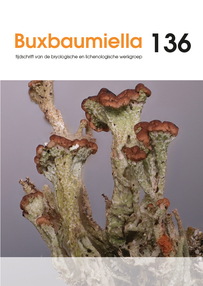 Buxbaumiella (los nummer)