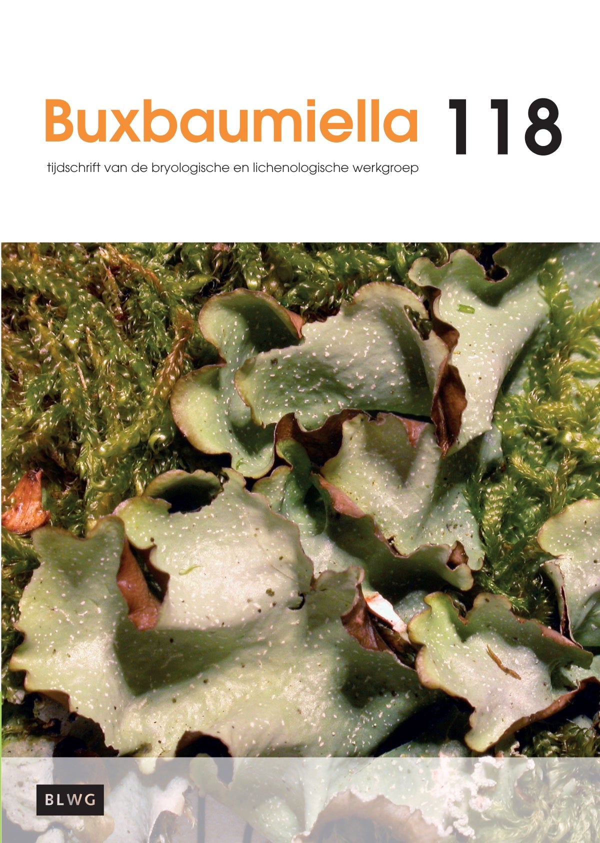 Buxbaumiella (los nummer)